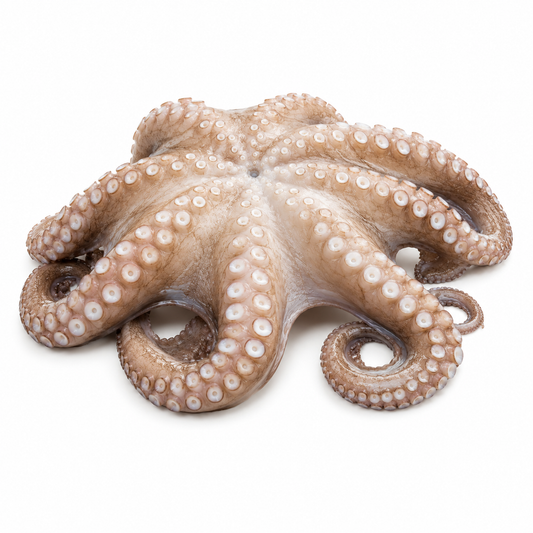 Pulpo crudo (4-6 Kg)