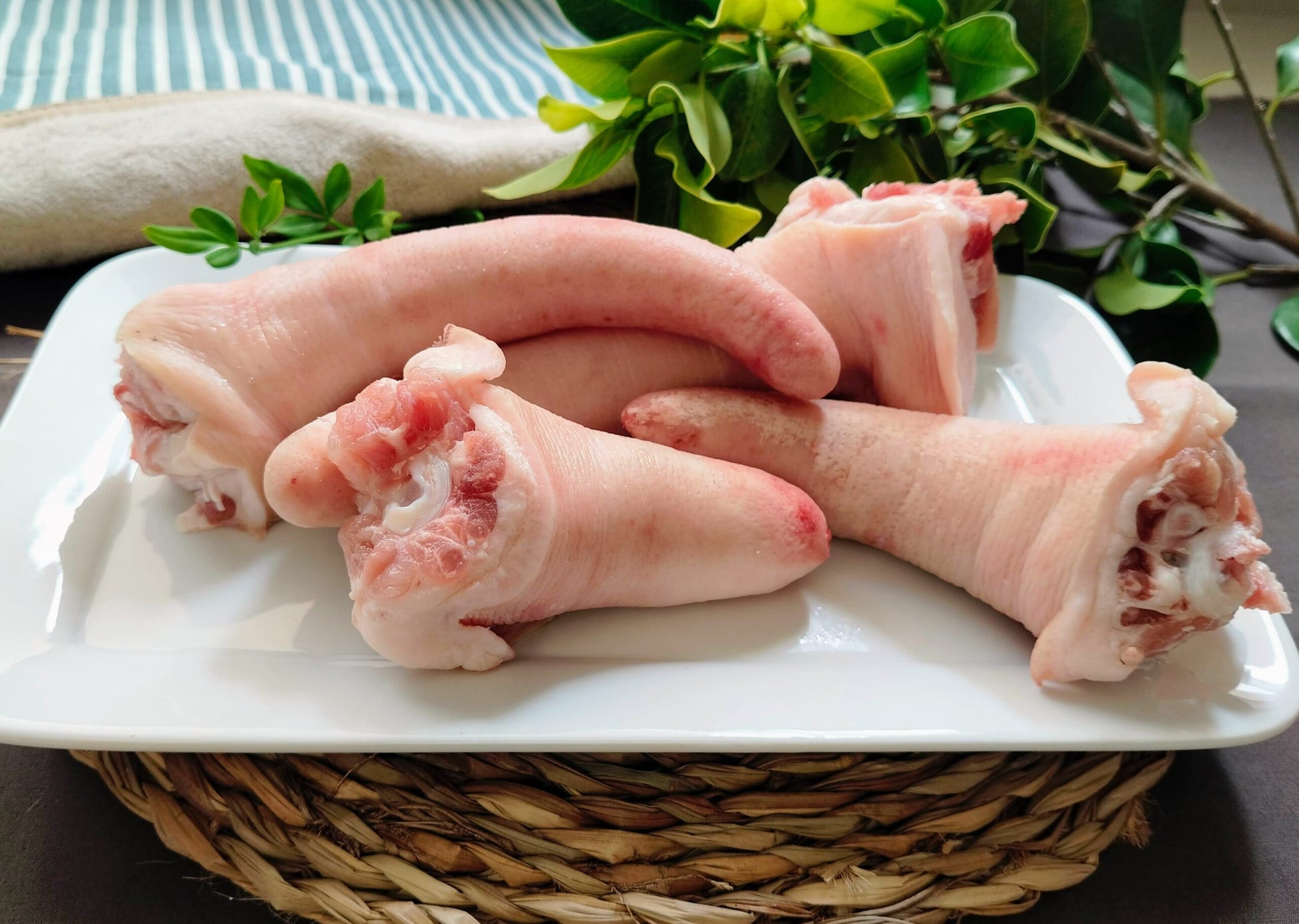 Rabos de cerdo