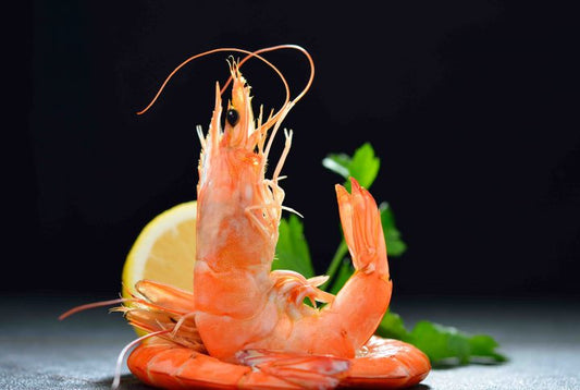 Langostino cocido gigante 25/35