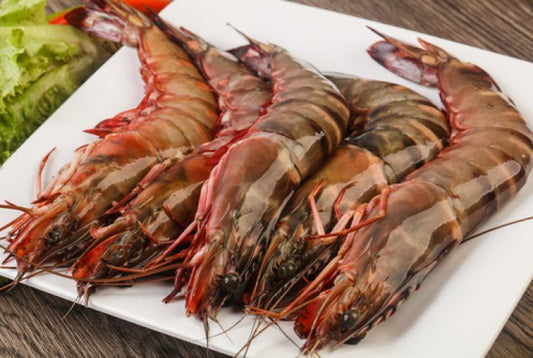Langostino tigre