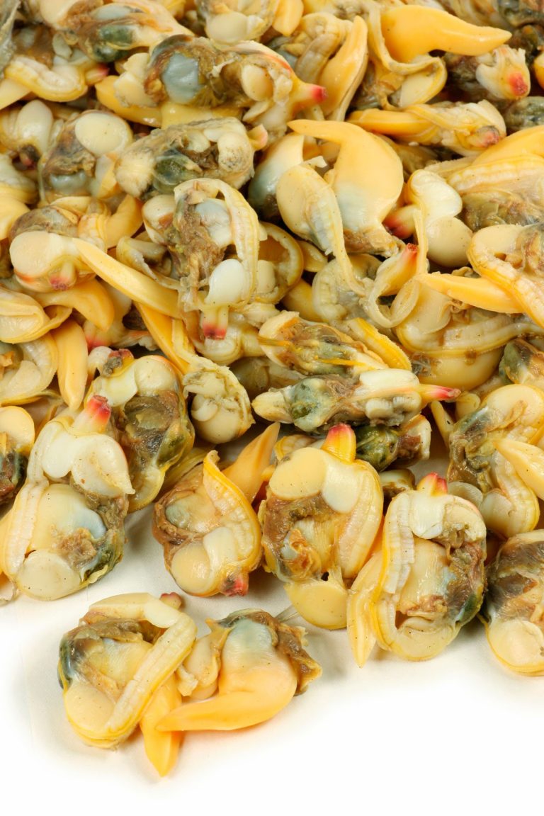 Carne de almeja